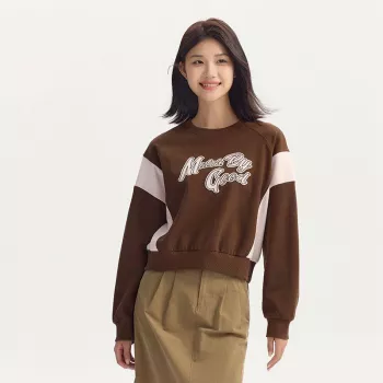 Color-Block Oversized Sweatshirt with Letter Embroidery